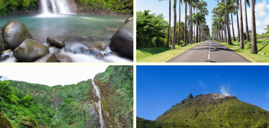 Plongez dans la forêt tropicale de Basse-Terre en Guadeloupe