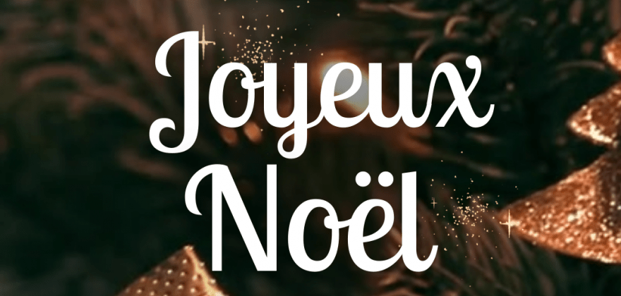 Joyeux Noël au Majesty Palm Hôtel !