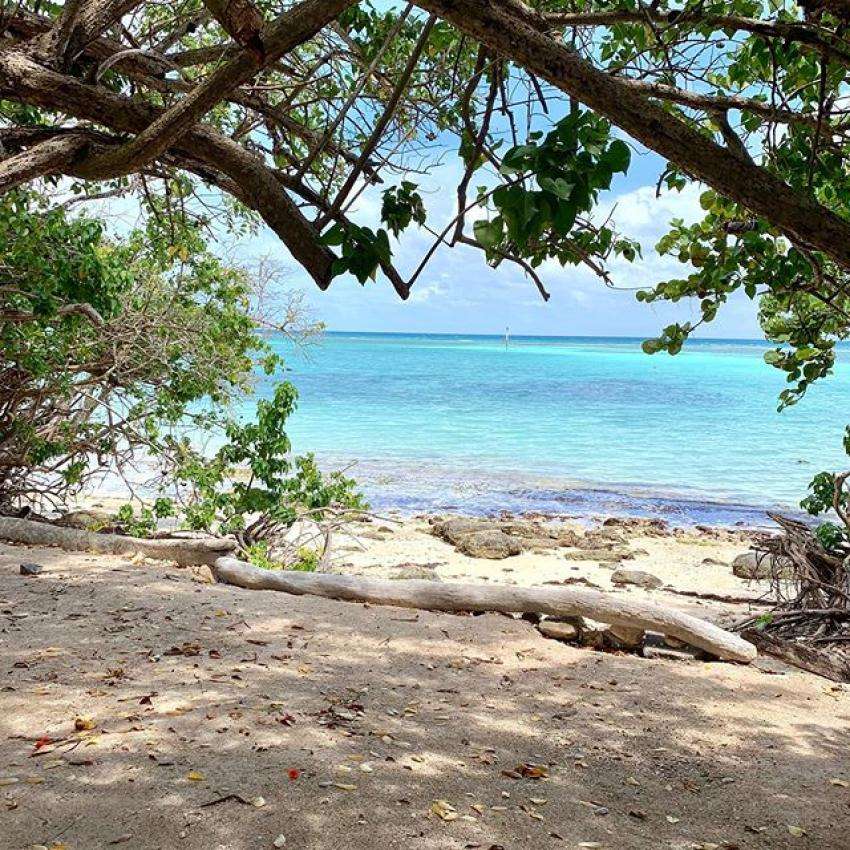 Majesty Palm Hotel & Spa - Plage